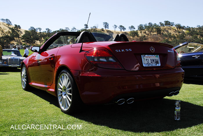 Mercedes-Benz SLK55 AMG sn-WDBWK73F48F182824 2008 