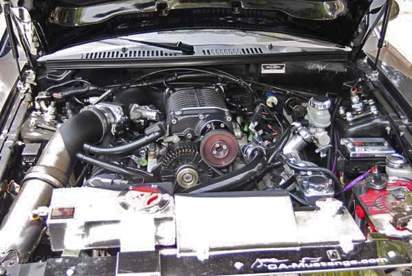 Saleen Ford Mustang sn-1FAFP42X92F193276 2002