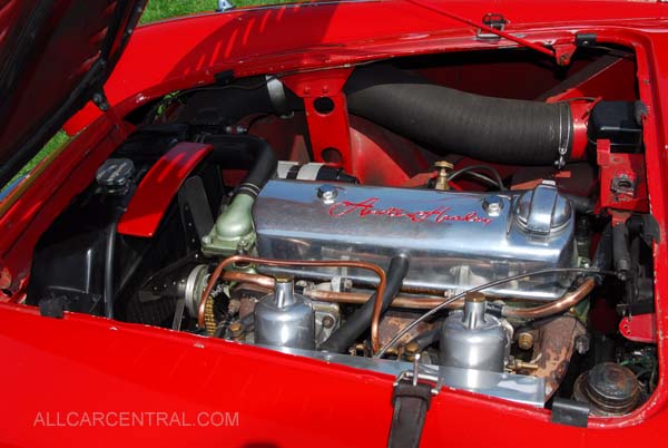 Austin Healey BN2 LeMans Modified 1956