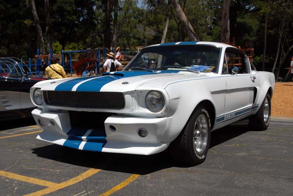 Ford mustang shelby gt 1964